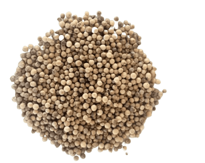 poivre blanc en grains de Penja